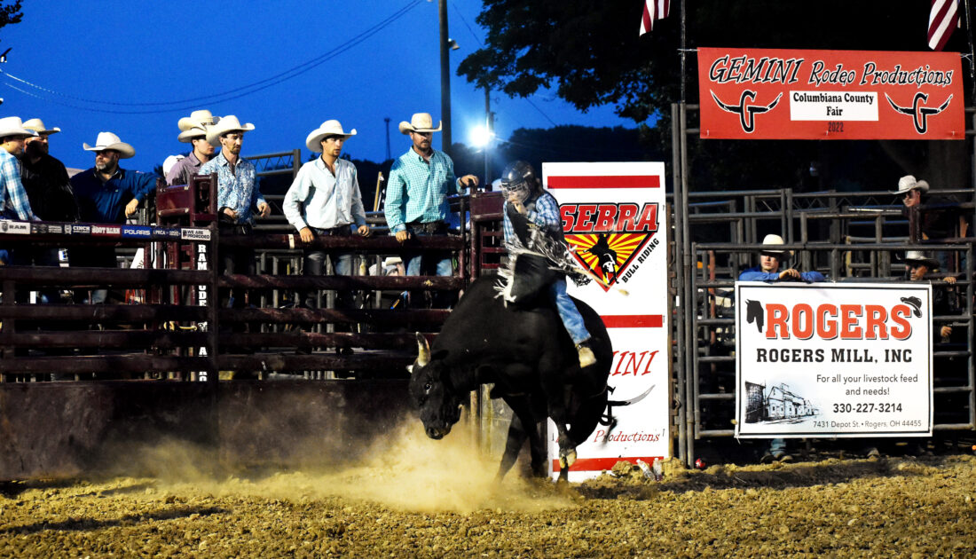 RODEO ACTION A HIT AT FAIR | News, Sports, Jobs - The Review